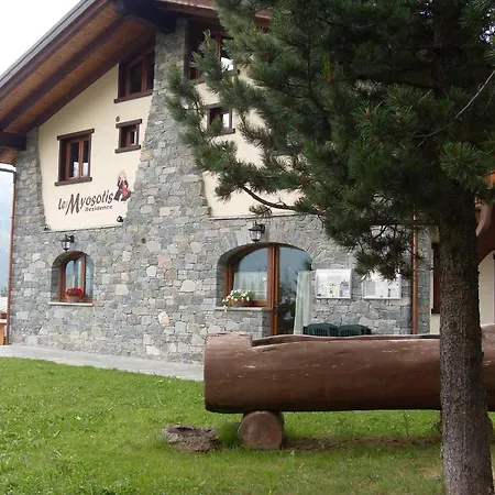 Les Myosotis 샴폴루크