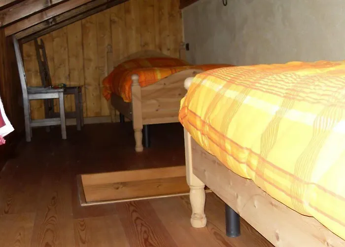 Les Myosotis שמפולוק