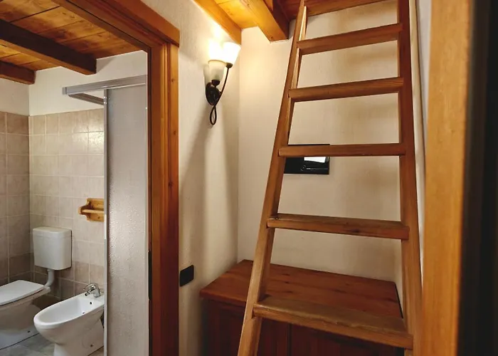 Les Myosotis 샴폴루크