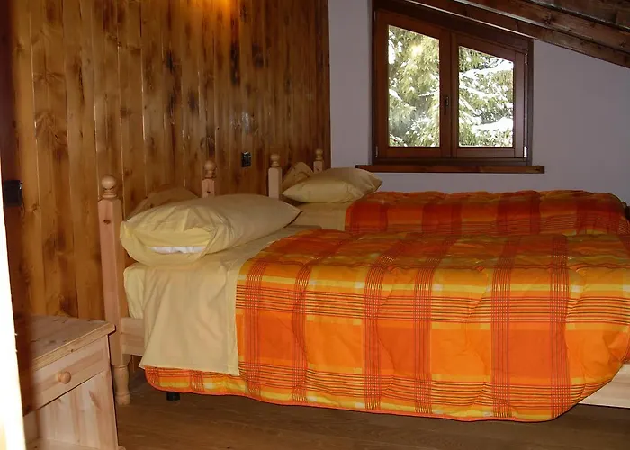 Les Myosotis שמפולוק