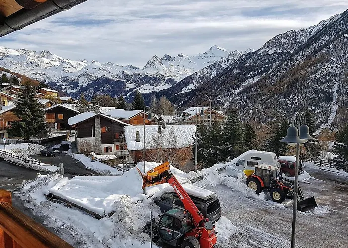 Les Myosotis 3* שמפולוק